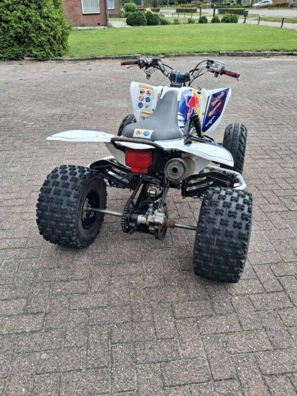 Yamaha Grizzly 250 - Afbeelding 5